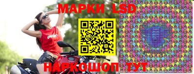 скорость Новокубанск